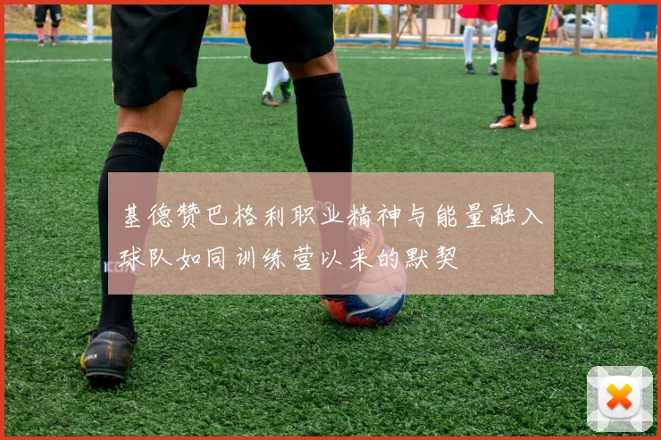 基德赞巴格利职业精神与能量融入球队如同训练营以来的默契