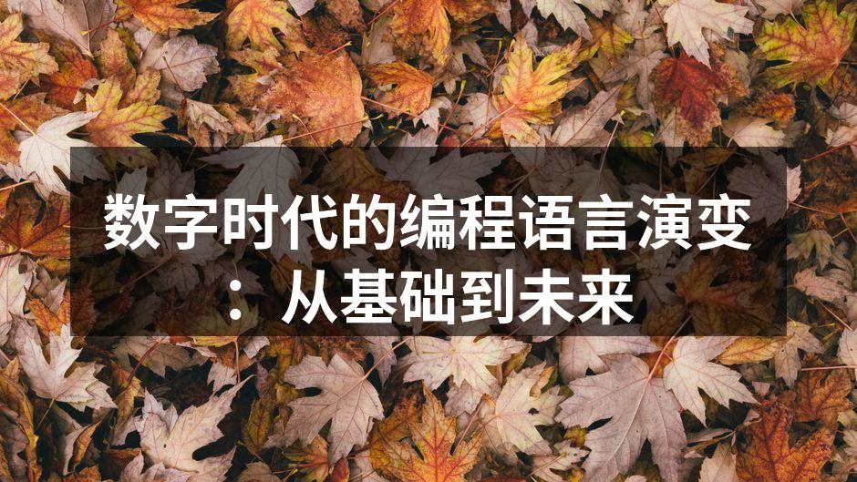 数字时代的编程语言演变：从基础到未来
